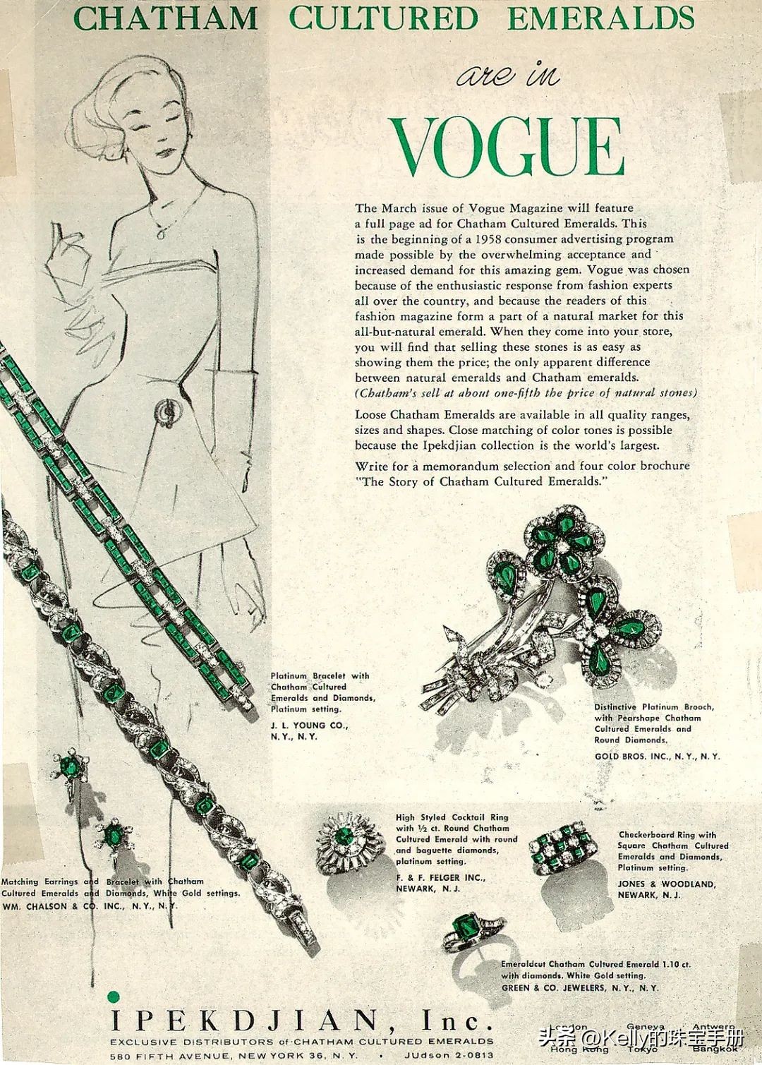 安第斯山脉故事,安第斯山脉真相