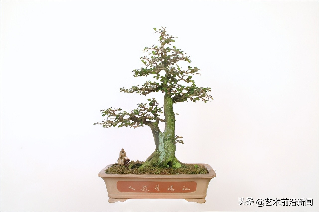 「艺术前沿」胡庆魁的木石人生