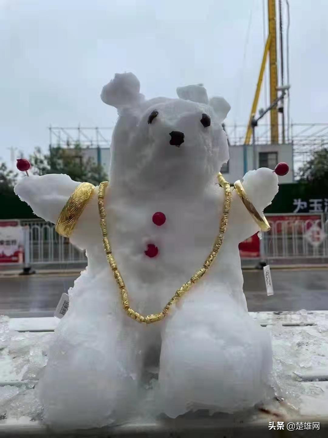 堆雪人创意大赛活动方案,堆雪人大赛活动