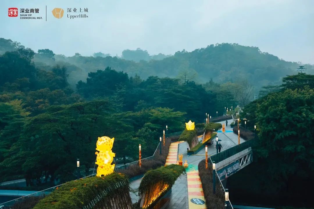 不只是反向代购,深圳这个商场让港人反向“逛购”