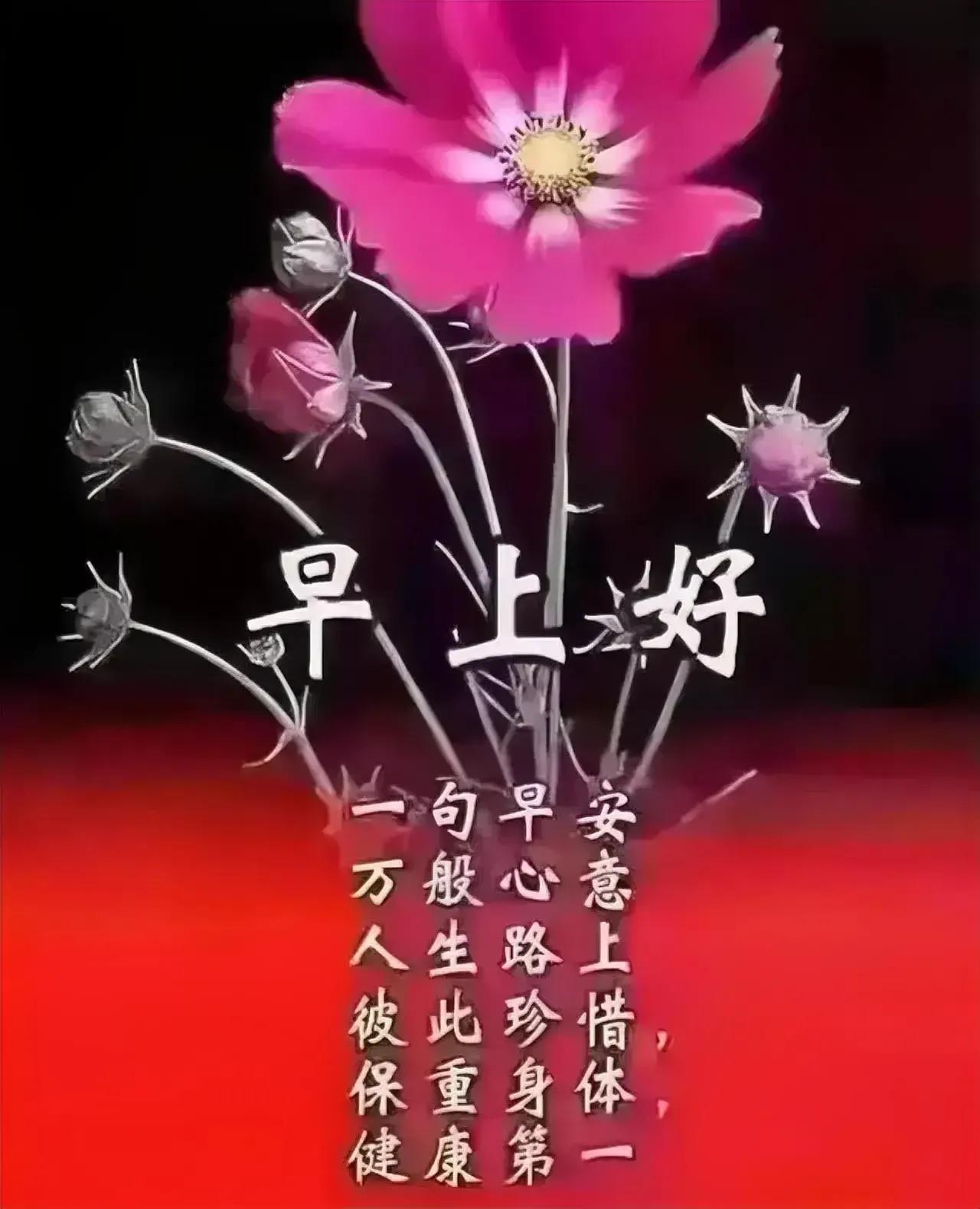 庚子日柱2023年癸卯年运势,癸卯年2023年哪个月出生最好