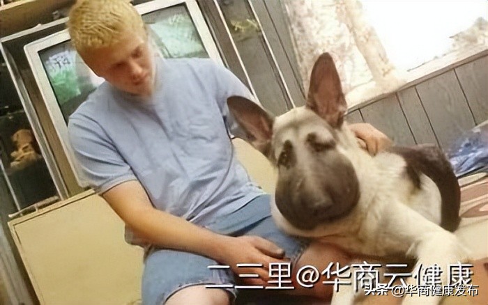 实用知识：赏花被蜂追，摆啥姿势安全？