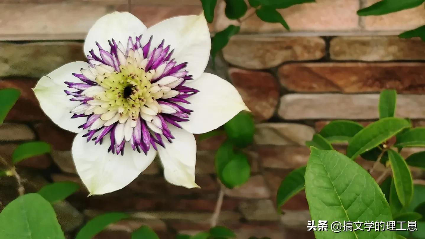 马云想成功必须跟上趋势,马云的运气分析