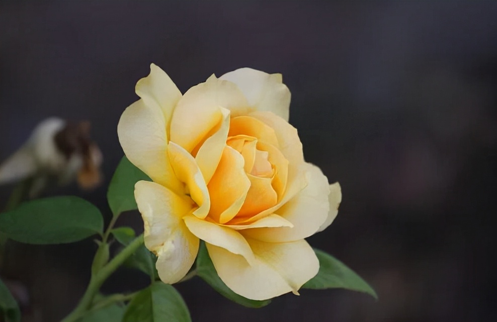 女朋友异性很多怎么办,女友对异性很好我吃醋该告诉她吗