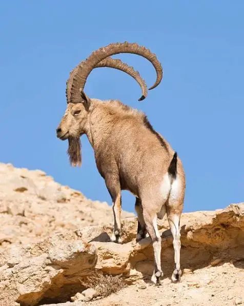 多灾多难，我们的未来还会好吗？