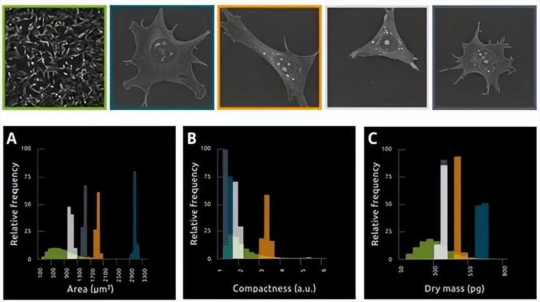 昆明纳瑞丨「Nanolive」在群体水平上描述单个细胞的特征