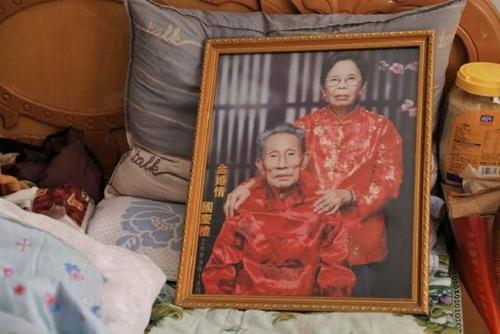 90岁奶奶陈金英的事迹,陈金英十年还债2077万元