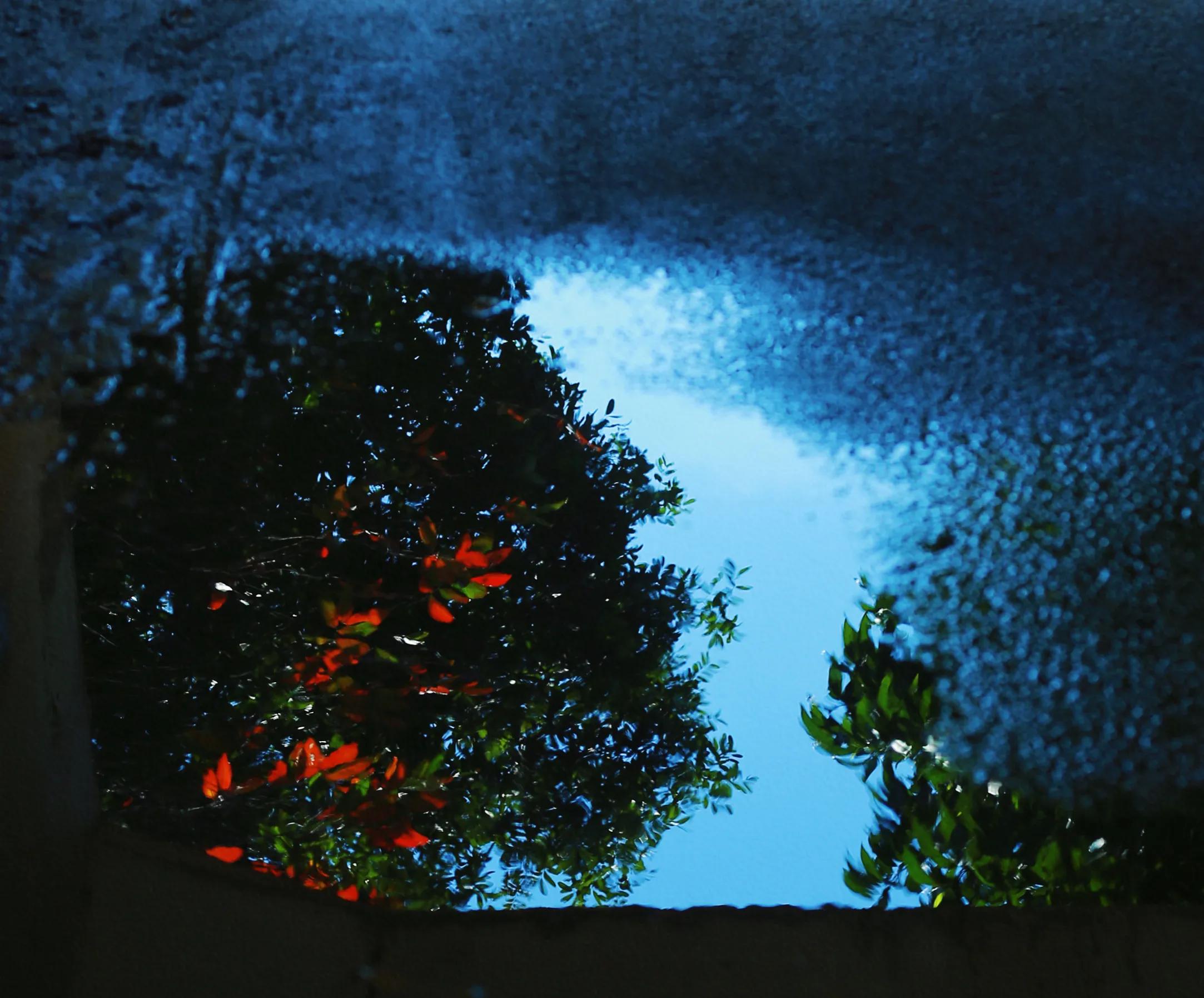 有种关系叫平行线,平行线关系