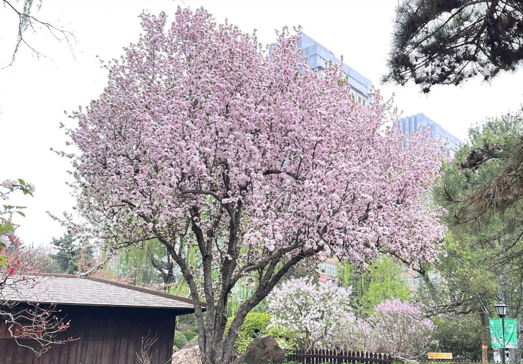 小众公园北京,北京欧式小众公园