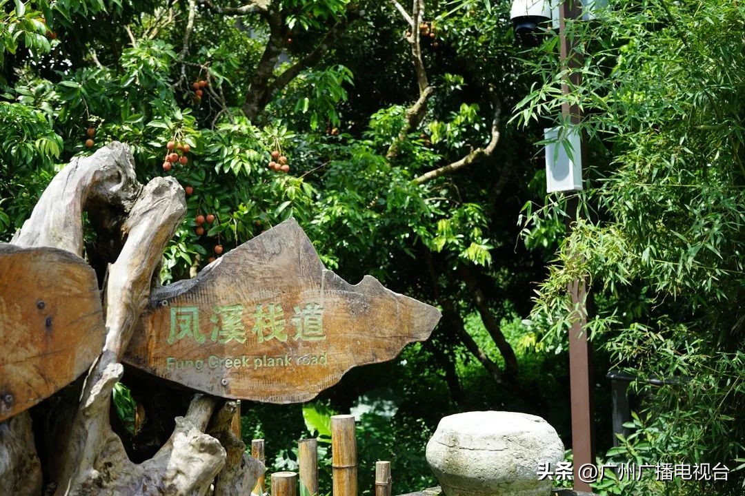 广州夏日避暑指南,广州夏日避暑胜地室内