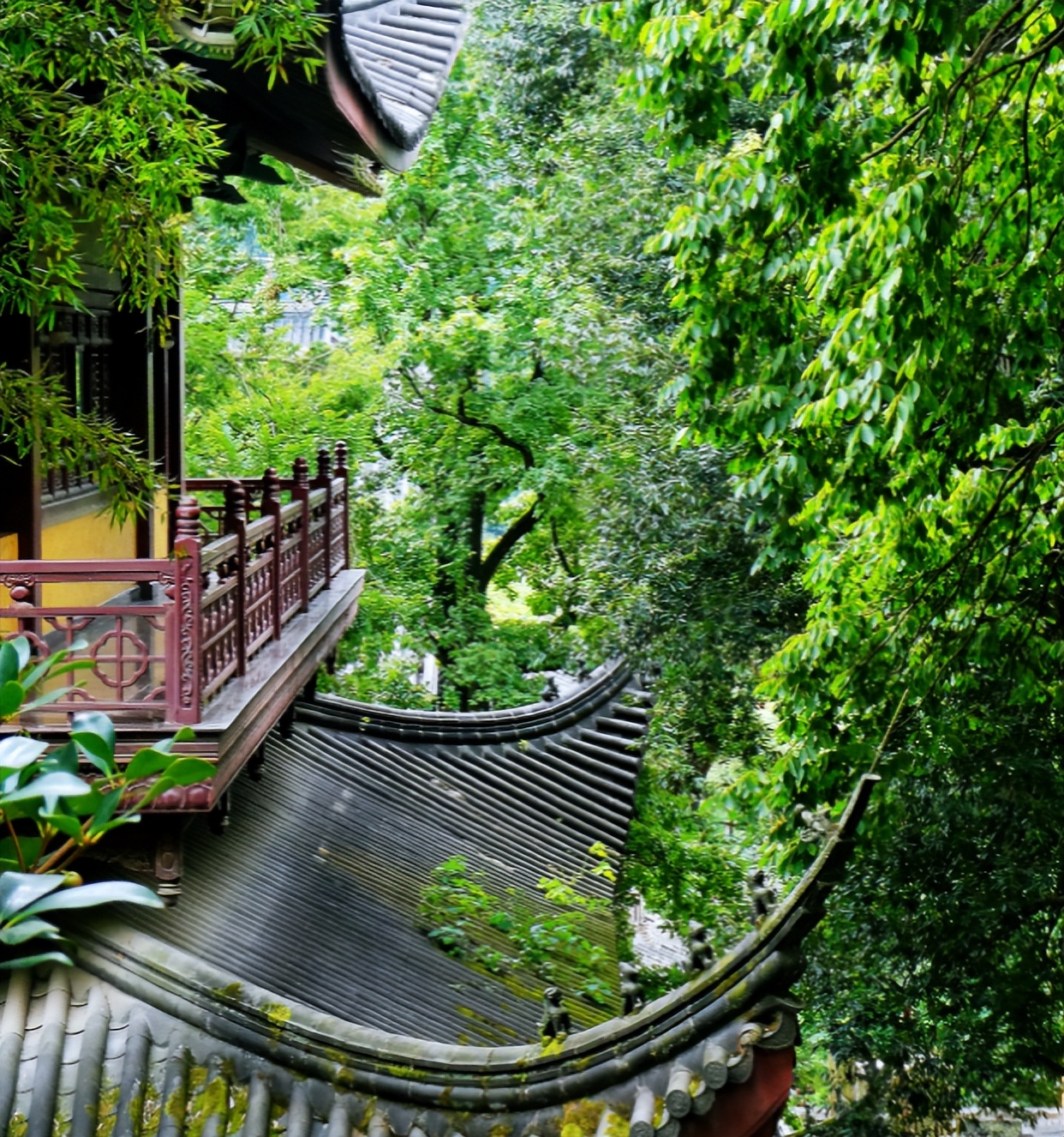 杭州灵隐寺攻略一日游省钱攻略,杭州灵隐寺景区攻略自驾游