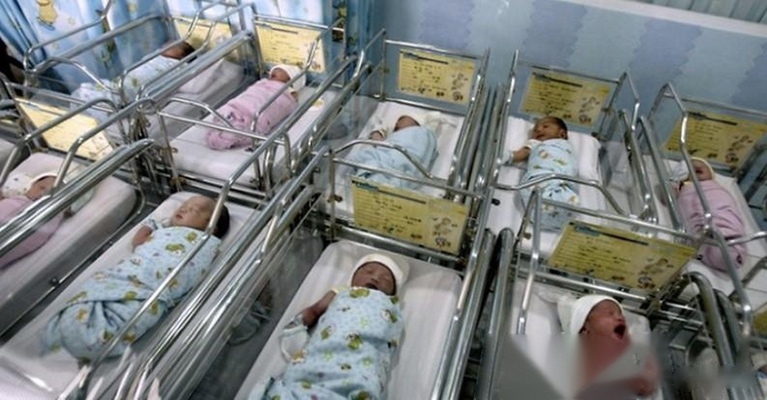 日本2024年死亡人数预测,日本或将消失