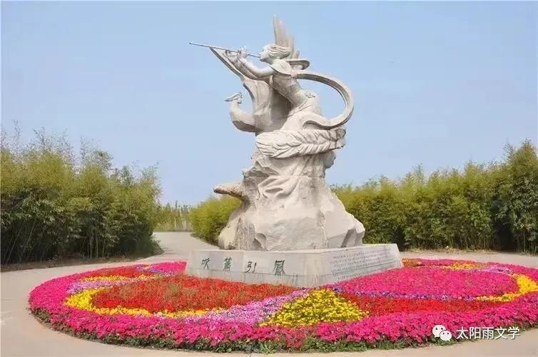 扬州凤凰岛的樱花路,扬州凤凰岛湿地公园