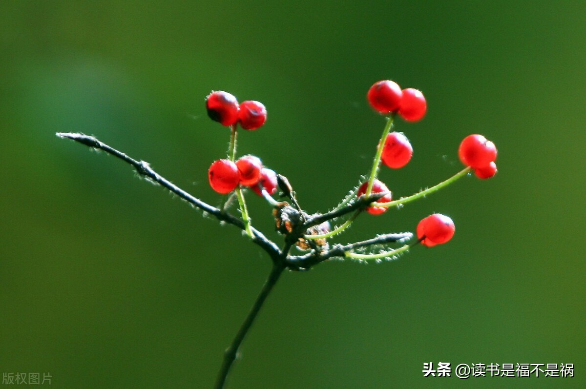 国学经典之三国志导读第六十讲,国学经典导读第二版