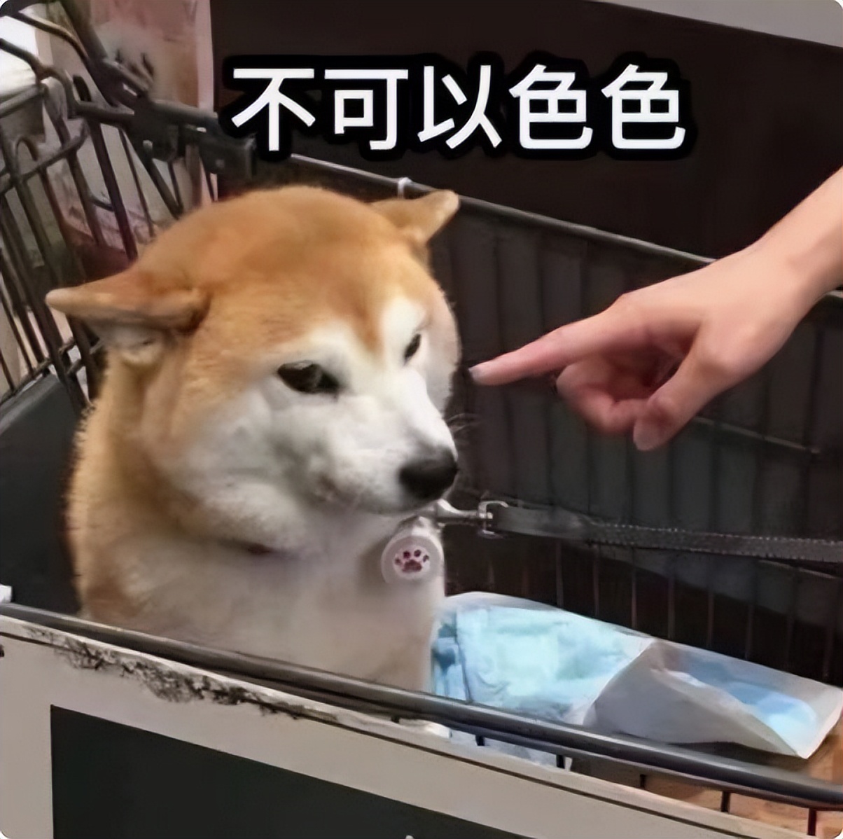 女生生完孩子性冷淡风怎么治,生完宝宝性冷淡风如何调理