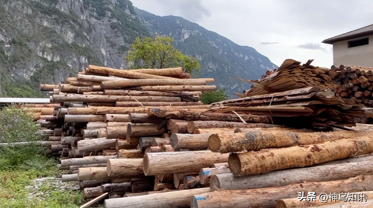 神鸟国际观察丨劈柴取暖成首选！欧盟各国能否度过“最冷最贵”的冬天？