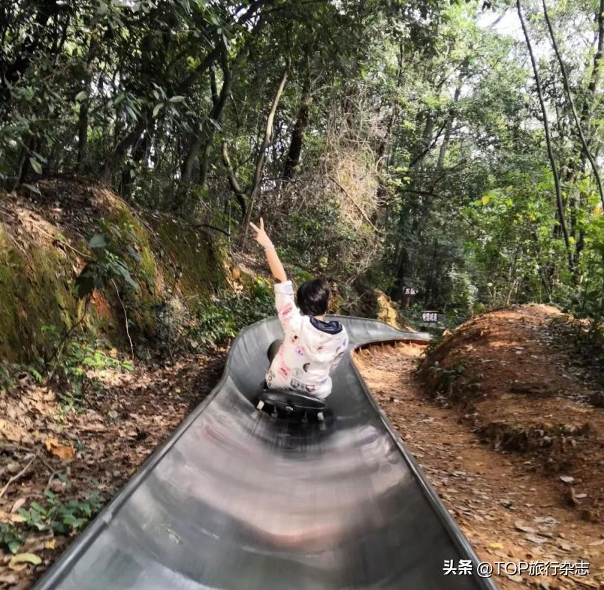 岳麓山赏红叶攻略,岳麓区徒步爬山推荐