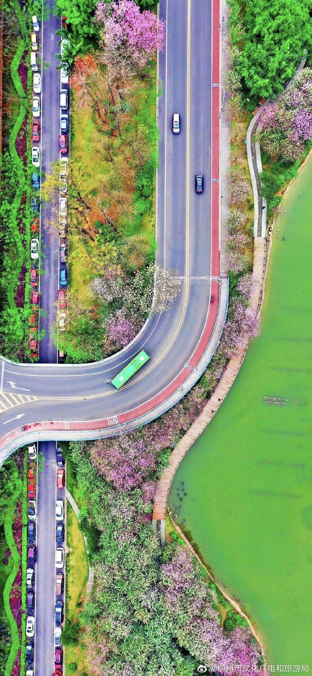 春天，我想到一座城，吃粉粉，看粉粉