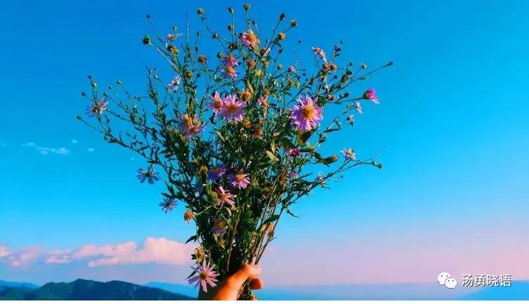 孩子不喜欢阅读语文怎么办,怎么让孩子喜欢阅读