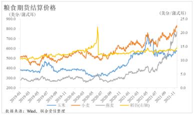 粮食不能自给的难题,中国粮食命脉