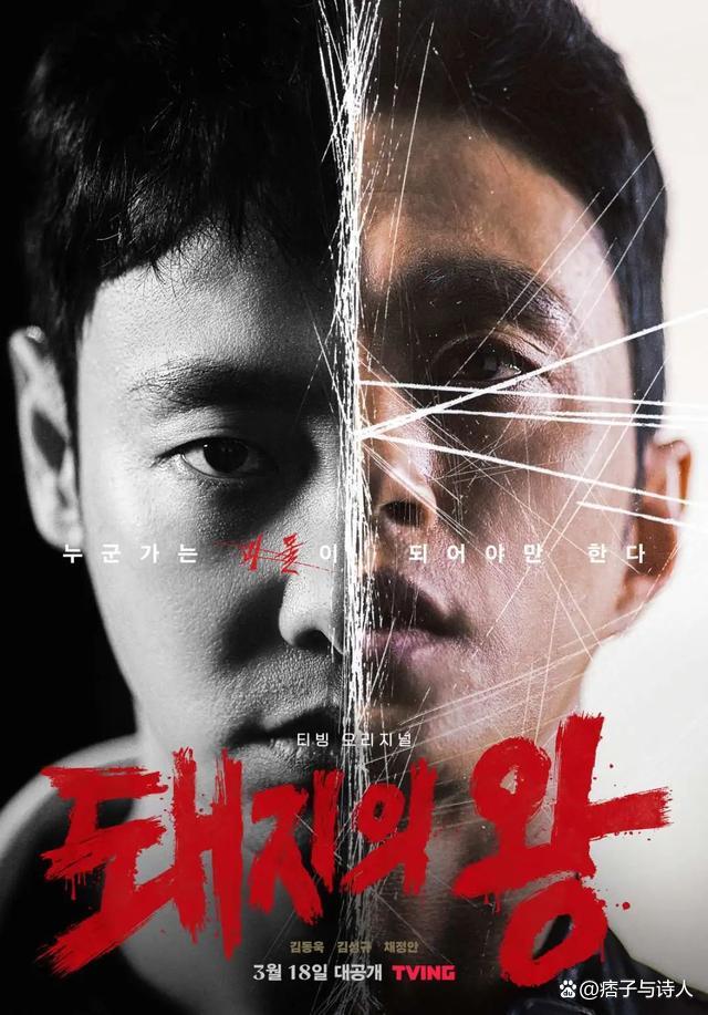 韩国复仇爽剧推荐,好看的完结韩国爽剧推荐