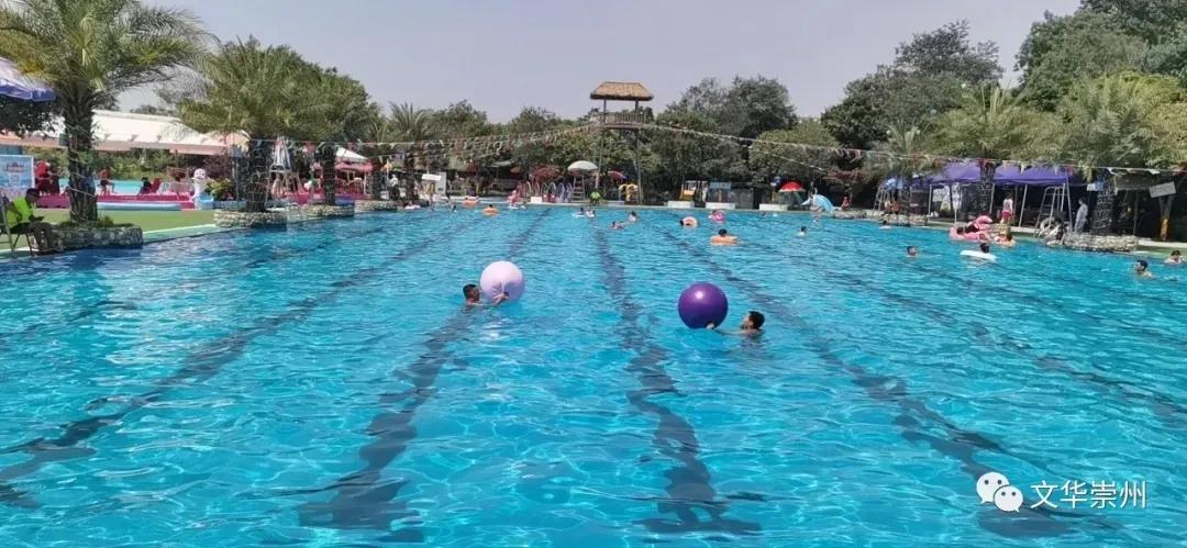 清凉夏日游泳馆,清凉避暑好去处露天泳池