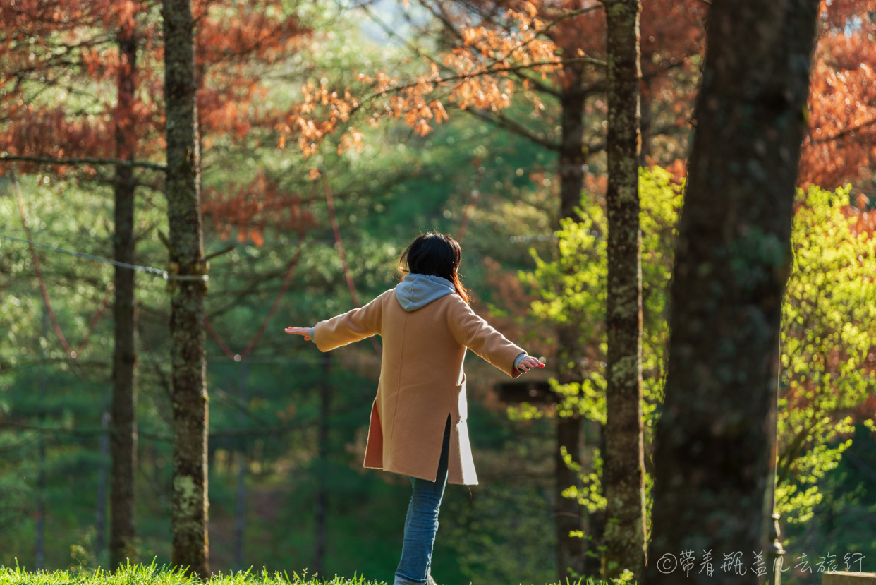巫溪红叶自驾游,巫溪红池坝云中花海景点讲解