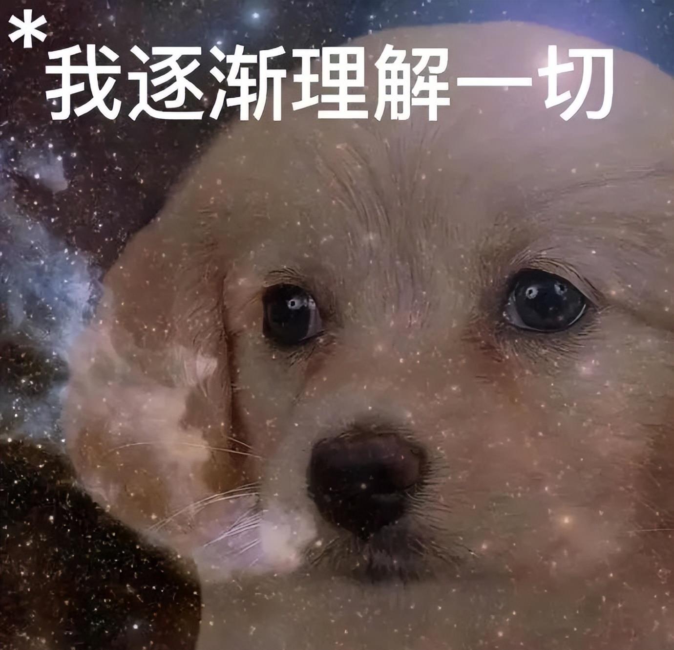 轻松塑造魅力四溢的吸睛全身照,全身照脸特别大