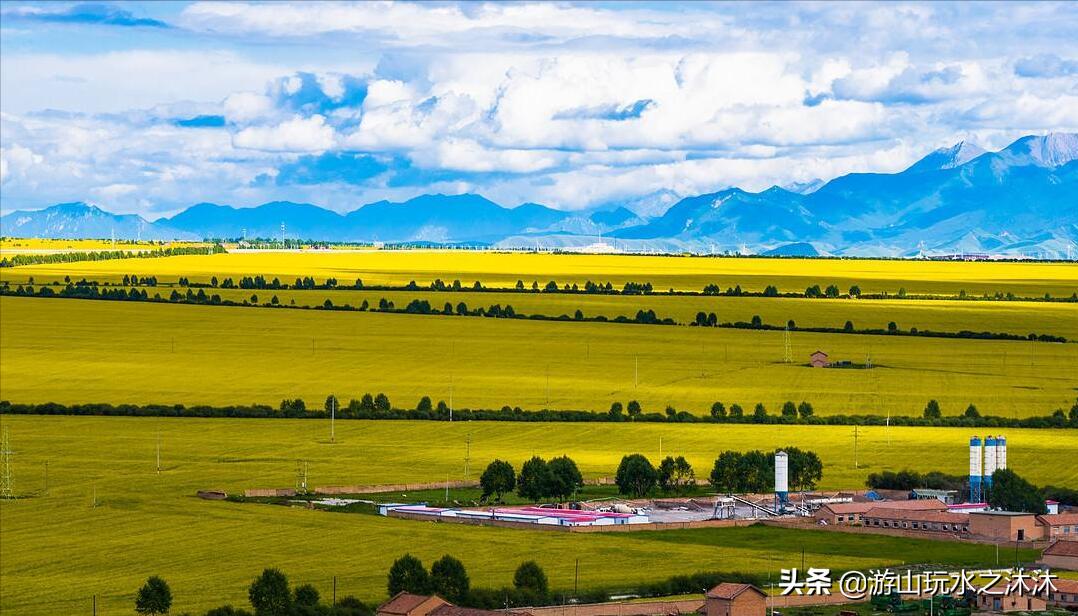看油菜花的好地旅游攻略,看油菜花哪里最值得去