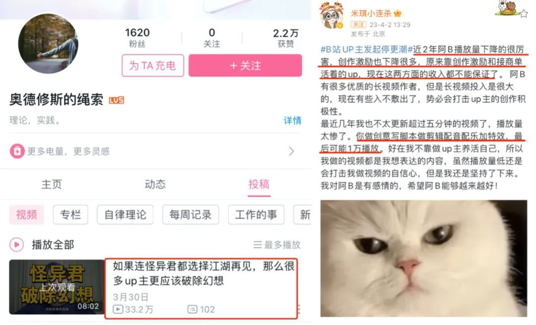 up主停更七天的原因,up主突然火了