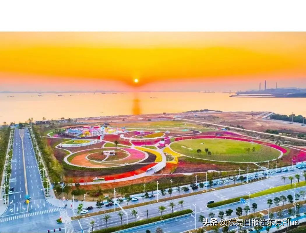 东莞可以看海和赏花的公园,东莞国庆看海游玩推荐