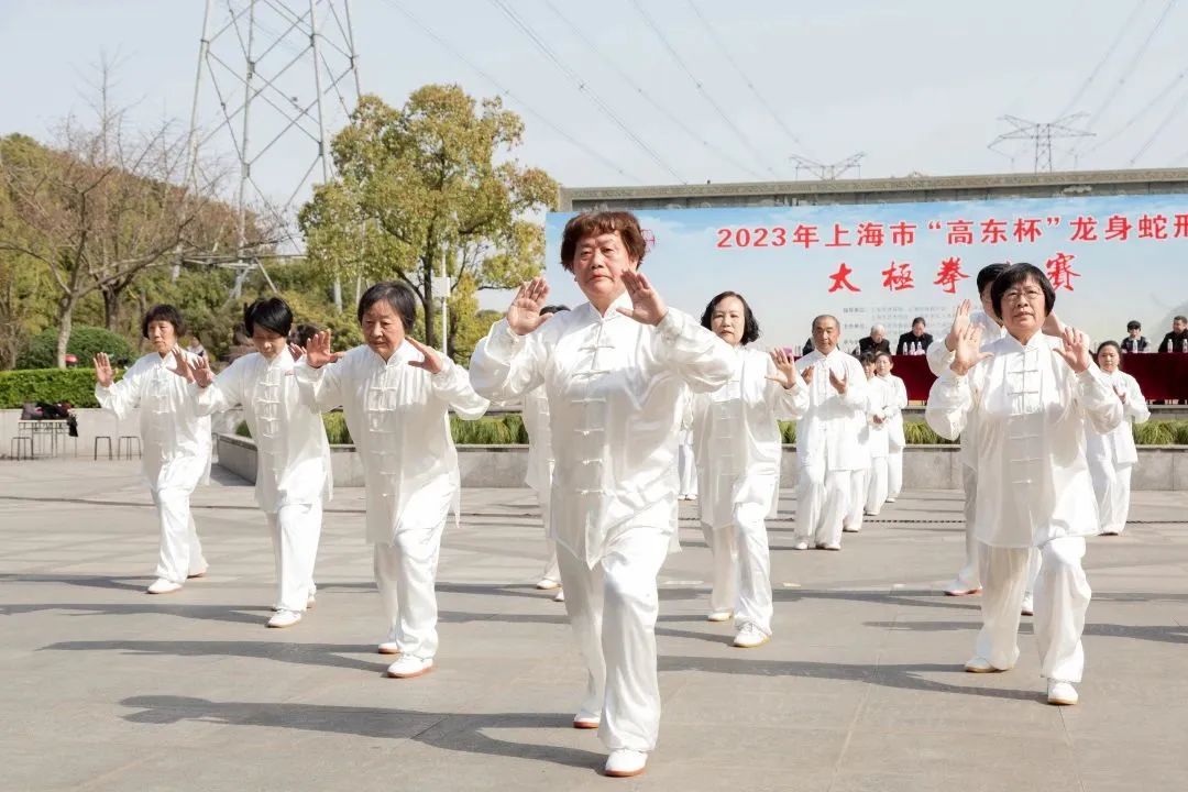 2023年“高东杯”龙身蛇形太极拳比赛在高东公园圆满举行