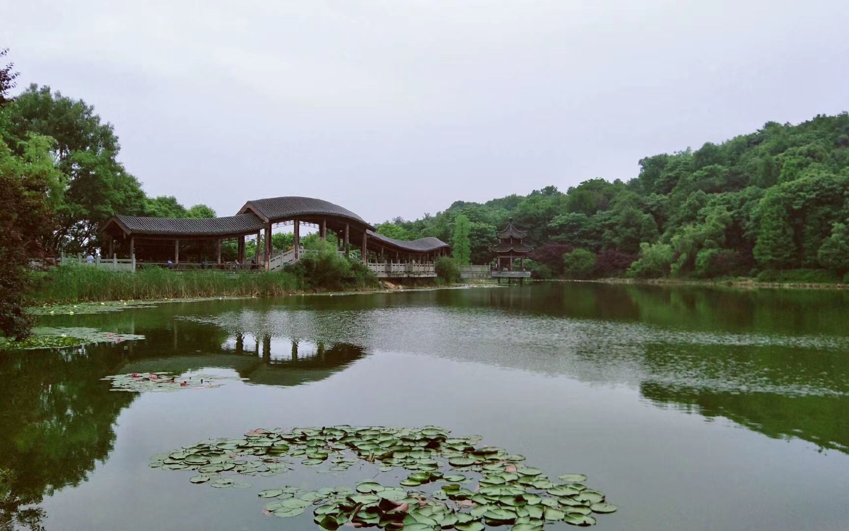 长沙有历史文化气息的有哪些地方,长沙五区历史文化名城有哪些