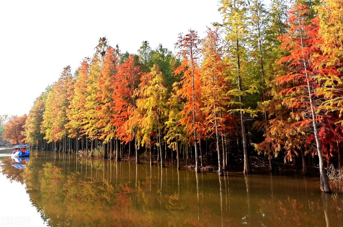 上海最新免费游玩景点推荐,上海旅游必去的五个免费景点