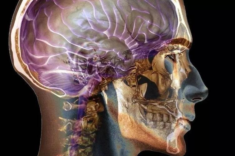 头颈部肿瘤包括哪些部位,头颈部肿瘤第一位是什么肿瘤