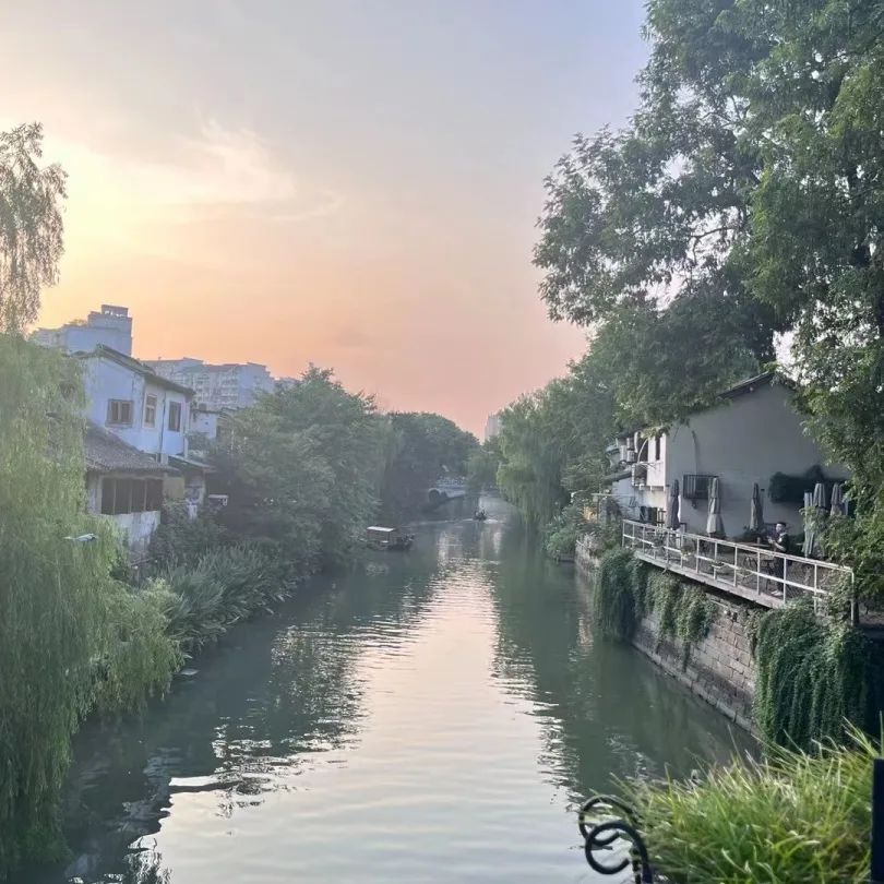 互联网大厂生存现状,互联网生存现状