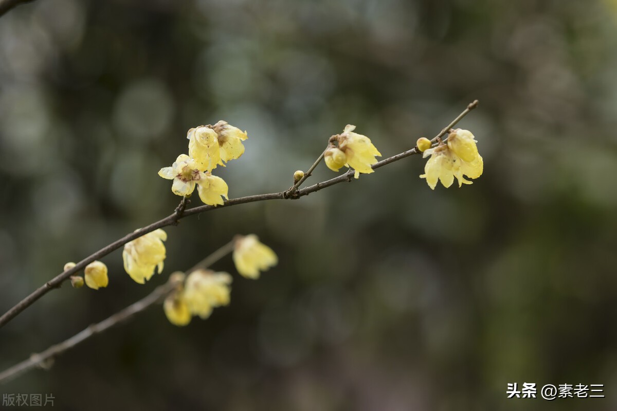 女作家去做保姆528,女作家去做保姆最新篇528