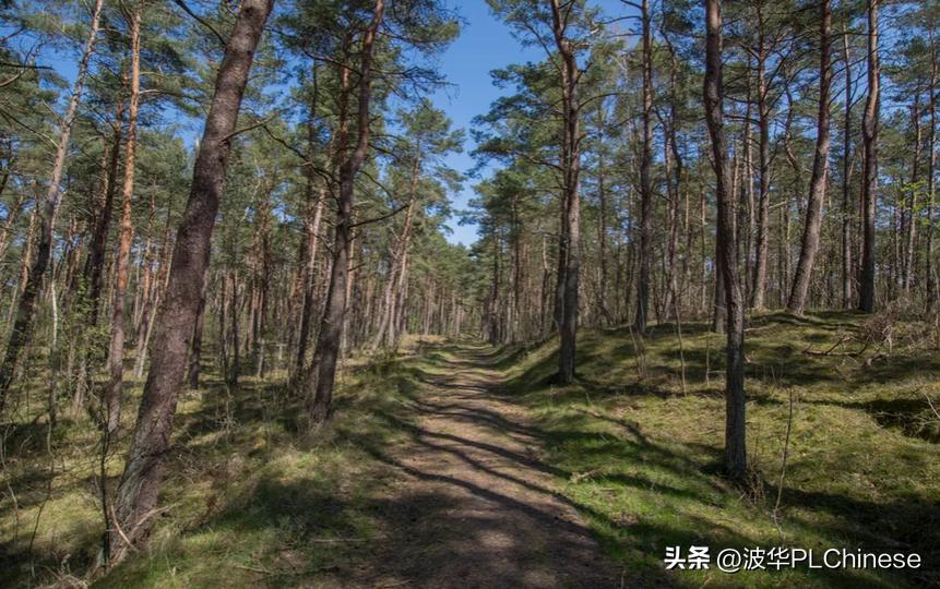 欧盟与波兰,欧盟跟波兰