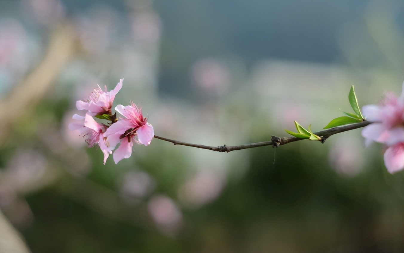 陶渊明山水田园古诗,陶渊明山水诗歌
