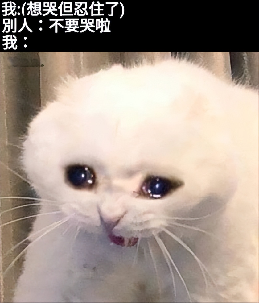 steam肉鸽游戏销量排行,steam火爆宝可梦