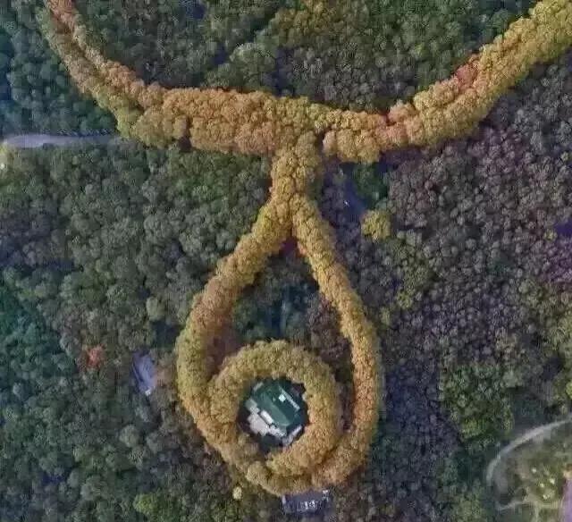 南京旅游攻略最详细攻略,南京旅游自由行详细攻略