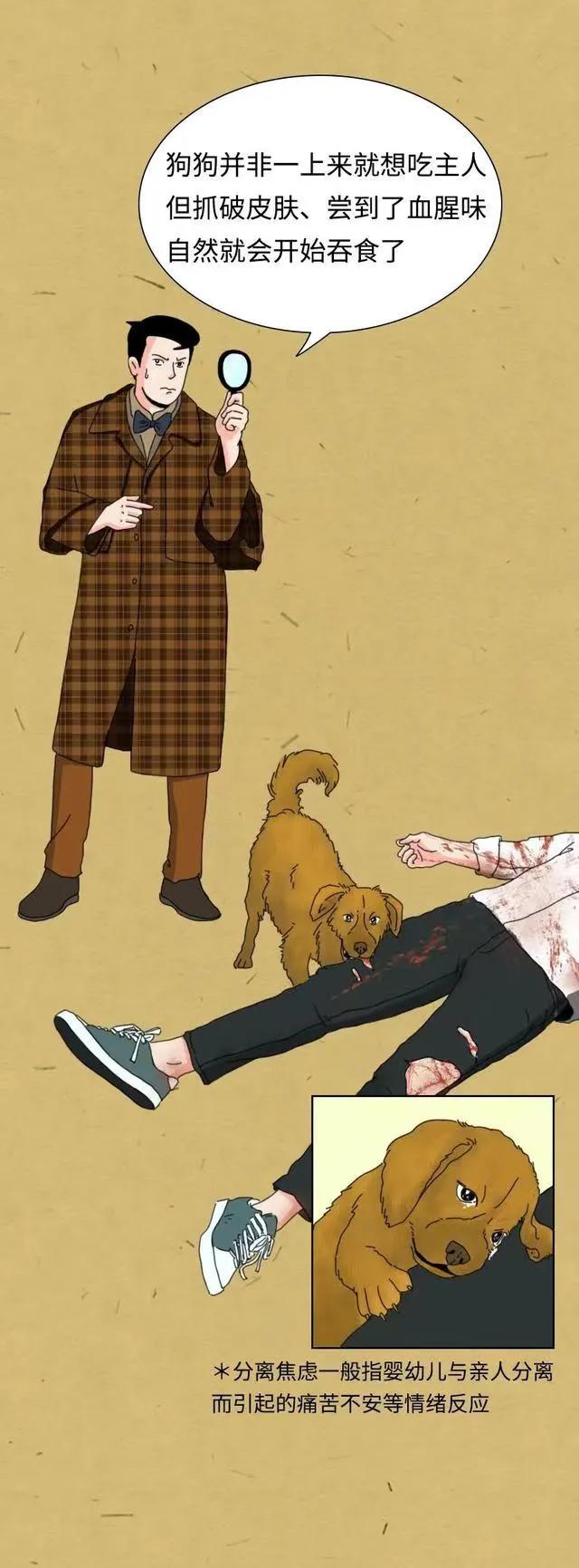 漫画：“铲屎官如果突然挂了，狗狗会等多久吃掉尸体？”网友神评