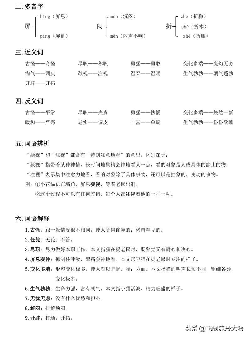 四下语文13课猫课堂笔记,四年级语文下册13课猫课后练习题