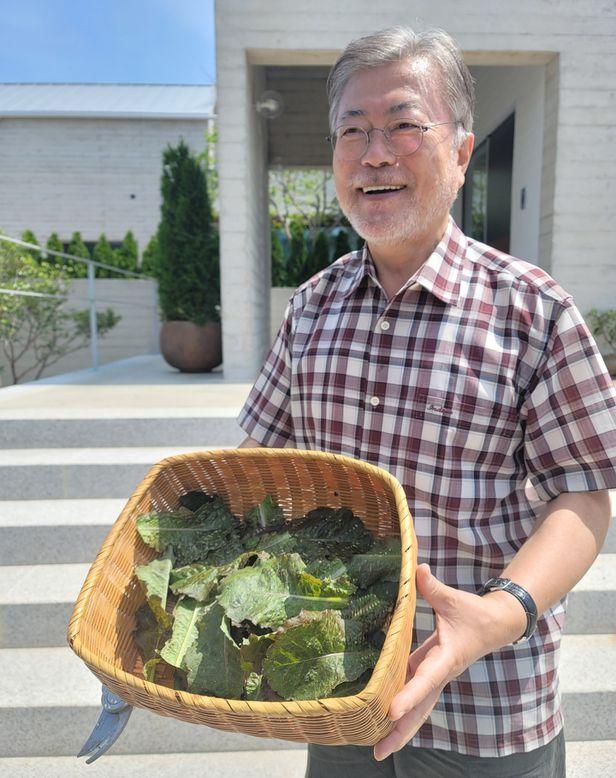 新一任韩国总统夫人,韩国现任总统夫人出访照片