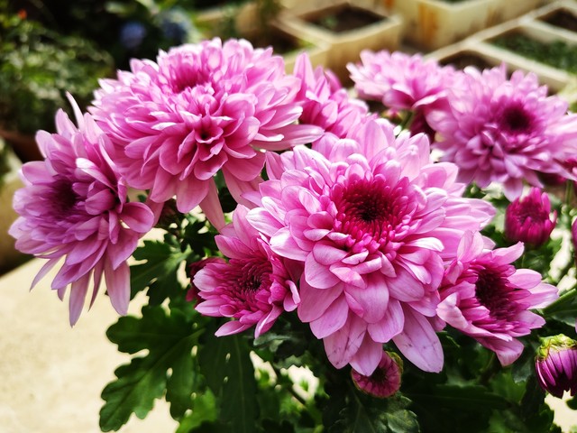 强烈推荐10个让你人生开挂的建议,人生开启开挂模式