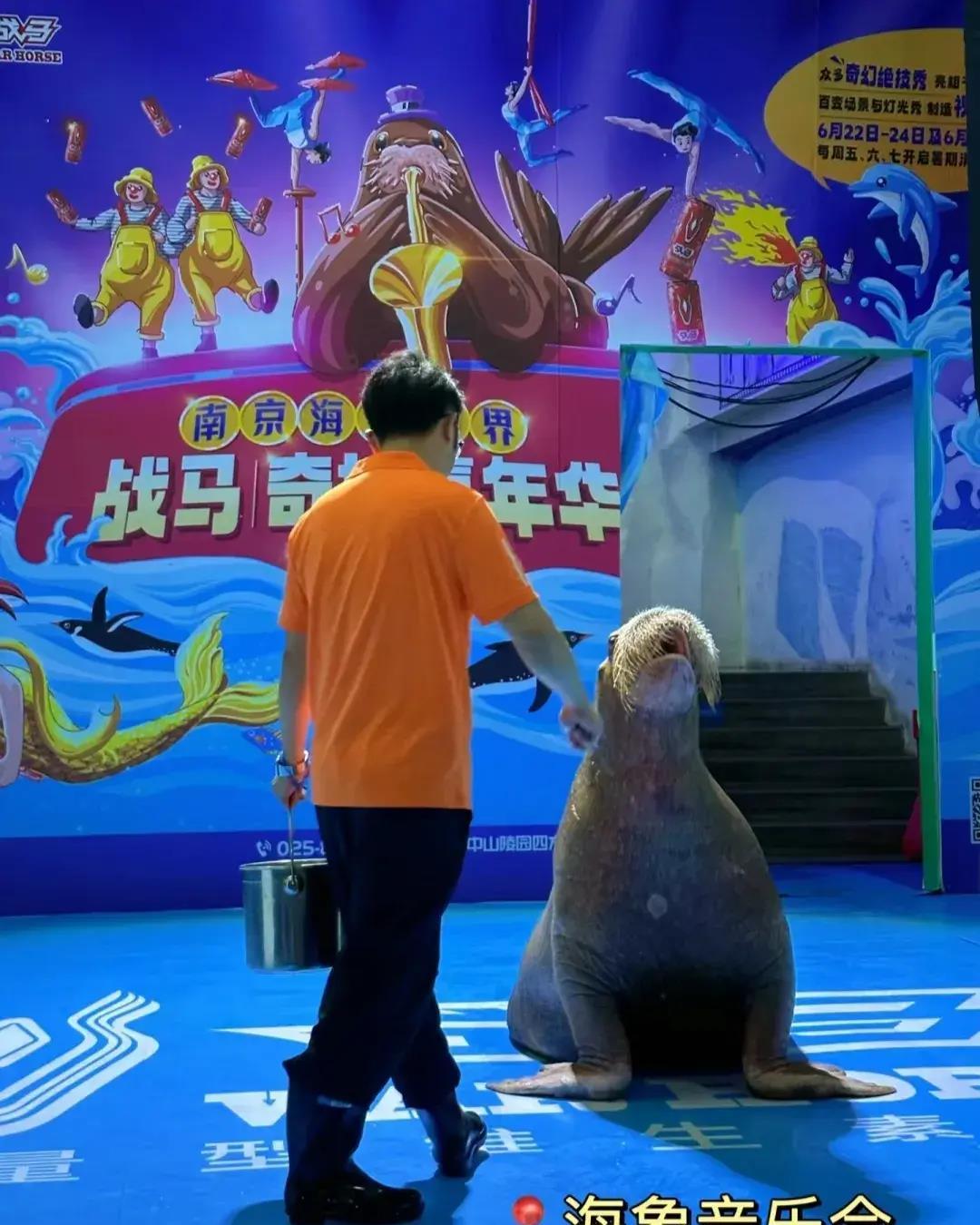 南京海底世界免费旅游,南京海底世界潜水门票