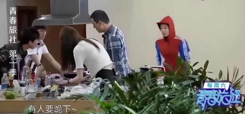 趋炎附势与指鹿为马,何穗陈伟霆被拍视频