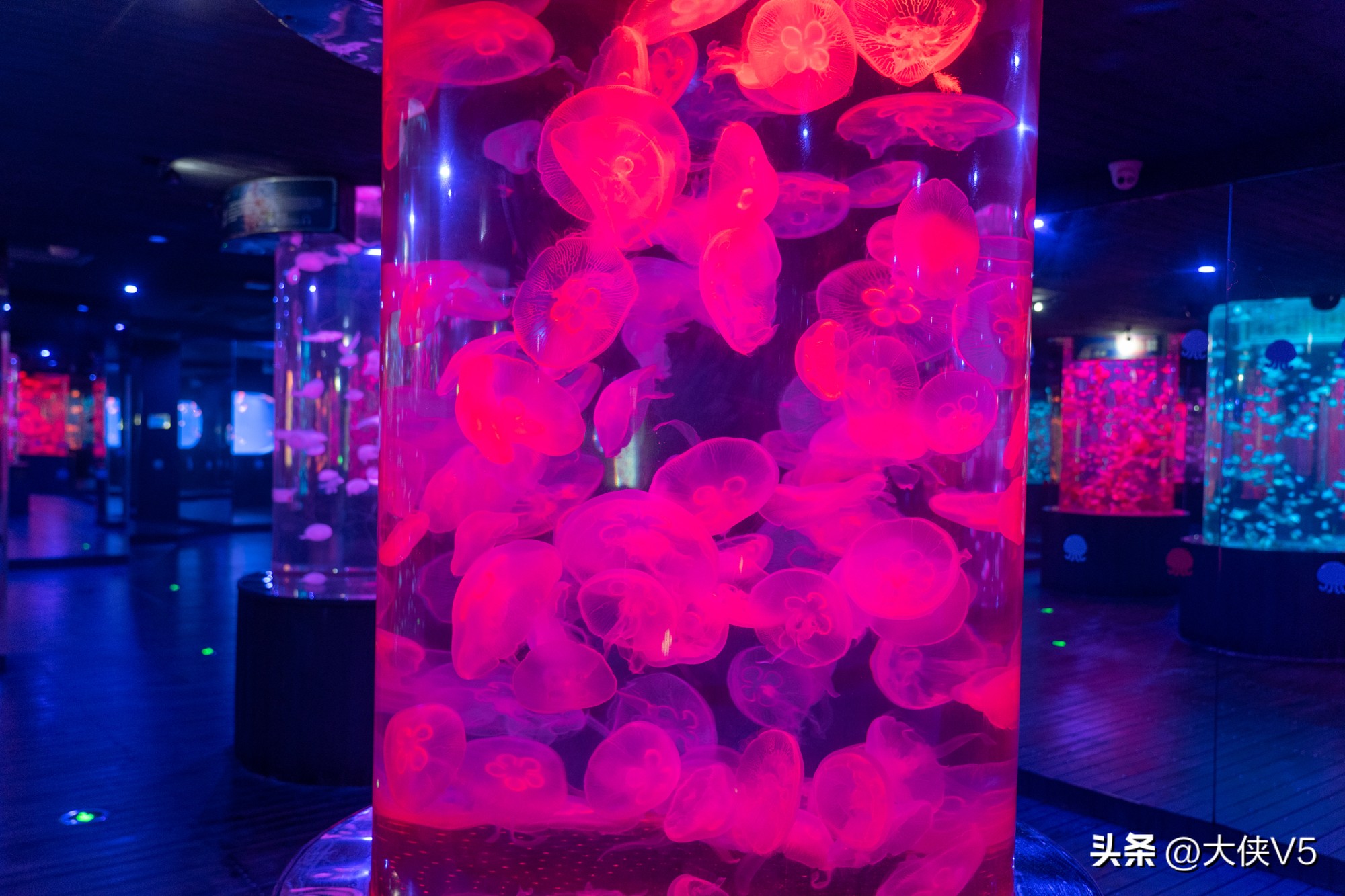 浙东唐诗名城新昌,在新昌邂逅浙东唐诗之路