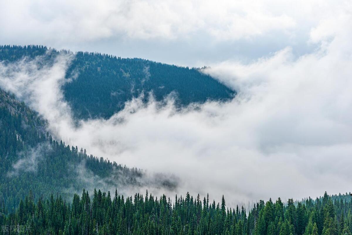 夏天祛体内湿气的食疗,夏季湿气重吃什么排湿最快