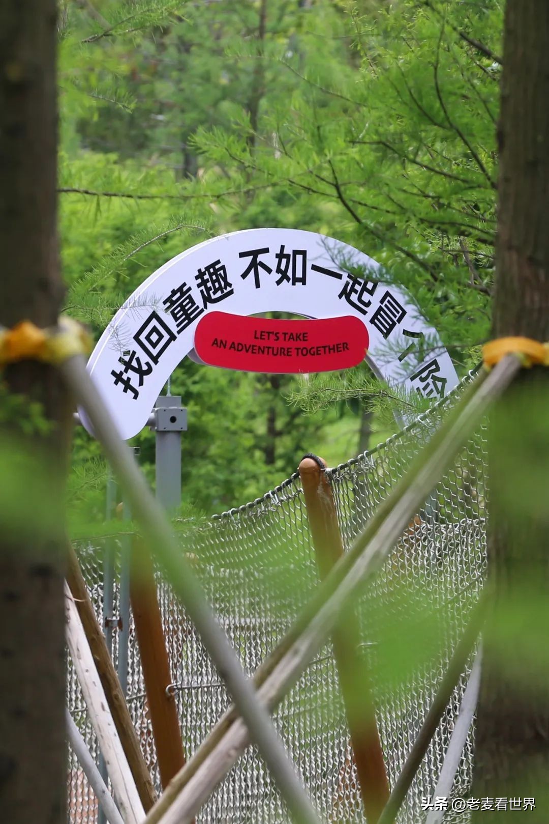 东莞中心公园怎么玩？最全攻略助你通关！五一打卡必备